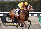 Pletcher Pair Heads Turnback the Alarm Pletcher Pair Heads Turnback the Alarm