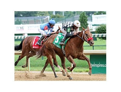 Flashy Bull's daughter, Flashy Lassie, won the Debutante Stakes at Churchill June 25.