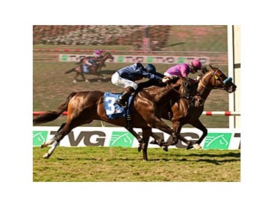 Obviously and Mr. Commons finished a nose apart in the Del Mar Mile Handicap.