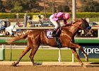Power Broker faces 8 in the Easy Goer Stakes at Belmont Park.