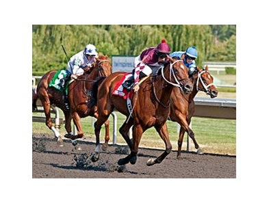 Kitty in a Tizzy rolls home to win the Chicago Handicap.