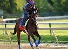 Went the Day Well<br><a target="blank" href="http://photos.bloodhorse.com/TripleCrown/2012-Triple-Crown/Preakness-Stakes-137/23013252_TrG3NS#!i=1852402845&k=jPg2jHd">Order This Photo</a>