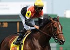 Banned comes to California for the Del Mar Derby<br><a target="blank" href="http://www.bloodhorse.com/horse-racing/photo-store?ref=http%3A%2F%2Fpictopia.com%2Fperl%2Fgal%3Fprovider_id%3D368%26ptp_photo_id%3D9569454%26ref%3Dstory">Order This Photo</a>