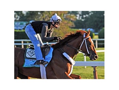 Golden Soul<br><a target="blank" href="http://photos.bloodhorse.com/TripleCrown/2013-Triple-Crown/Belmont-Stakes-145/29744699_jpqpwR#!i=2557234530&k=JR2vxg5">Order This Photo</a>