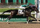 Grasshopper, who won the the 2008 Mineshaft, will try for a repeat in 2009.