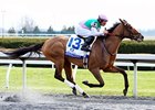 Emollient won the 2013 Ashland Stakes.