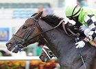 Slumber Looks to Awaken in Monmouth Stakes Slumber Looks to Awaken in Monmouth Stakes