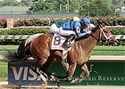 Decelerator outfights Wild Forest Cat to take the Debutante.