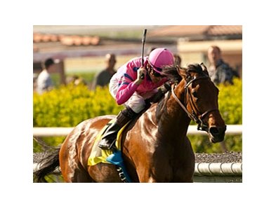 Capital Plan won the Santa Barbara Handicap by 1 1/2 lengths on April 21.