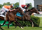 Keertana has won three in a row.
<br><a target="blank" href="http://www.bloodhorse.com/horse-racing/photo-store?ref=http%3A%2F%2Fpictopia.com%2Fperl%2Fgal%3Fprovider_id%3D368%26ptp_photo_id%3D8233531%26ref%3Dstory">Order This Photo</a>