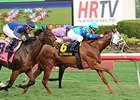 Baffle Me wins the South Beach Stakes.
<br><a target="blank" href="http://photos.bloodhorse.com/AtTheRaces-1/at-the-races-2013/27257665_QgCqdh#!i=2971282872&k=w3GZrtx">Order This Photo</a>