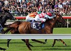 Red Cadeaux Captures Tight Hong Kong Vase Red Cadeaux Captures Tight Hong Kong Vase