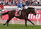 Protectionist Flies to Melbourne Cup Win Protectionist Flies to Melbourne Cup Win