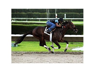 Itsmyluckyday breezed a mile in 1:43 1/5 April 18 at Calder.