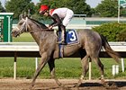Rattlesnake Bridge makes his third start of the year in the Mountainview.