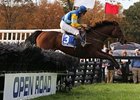Pierrot Lunaire won back-to-back National Steeplechase Association grade I races.<br><a target="blank" href="http://photos.bloodhorse.com/AtTheRaces-1/at-the-races-2012/22274956_jFd5jM#!i=2162763533&k=Mpd2RFR">Order This Photo</a>