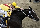 Rachel Alexandra's appearance in the Preakness drove TV ratings for the race to the highest in five years. <br><a target="blank" href="http://www.bloodhorse.com/horse-racing/photo-store?ref=http%3A%2F%2Fgallery.pictopia.com%2Fbloodhorse%2Fgallery%2FS672162%2Fphoto%2F8118163%2F%3Fo%3D2">Order This Photo</a>