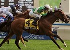 5-2 morning line favorite Forte Dei Marmi is one of 2 Singspiel entries for trainer Roger Attfield.