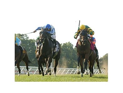 Flamin' Hot #2 with Alan Garcia won the Anderson Fowler Stakes over #8 Escrow Kid at Monmouth Park.
Escrow Kid was disqualified from first and placed 6th after interference in the stretch.