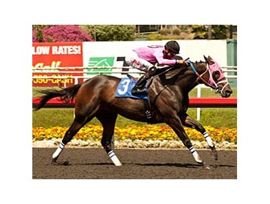 Comma To The Top wins the Los Angeles Stakes.