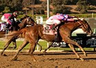 Weemissfrankie wins the Oak Leaf Stakes.
