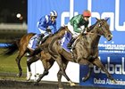 Mendip charges home to win the Al Maktoum Challenge-Round 2.