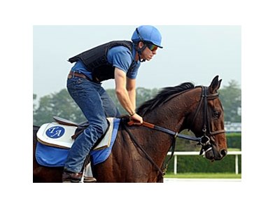 Brilliant Speed at Belmont Park.<br><a target="blank" href="http://www.bloodhorse.com/horse-racing/photo-store?ref=http%3A%2F%2Fpictopia.com%2Fperl%2Fgal%3Fprovider_id%3D368%26ptp_photo_id%3D9546241%26ref%3Dstory">Order This Photo</a>