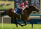 Nikkis Smartypants wins the Royal North Stakes.