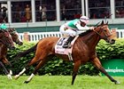 Aviate, Unbridled Humor Lead Noble Damsel Aviate, Unbridled Humor Lead Noble Damsel