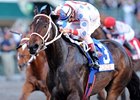 Sunshine Millions Classic winner Tackleberry faces 7 in the Gulfstream Park Sprint Championship.<br><a target="blank" href="http://www.bloodhorse.com/horse-racing/photo-store?ref=http%3A%2F%2Fpictopia.com%2Fperl%2Fgal%3Fprovider_id%3D368%26ptp_photo_id%3D9387845%26ref%3Dstory">Order This Photo</a>
