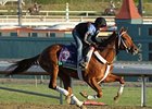 Hazardous Primed for Juvenile Sprint Hazardous Primed for Juvenile Sprint