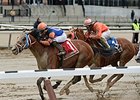 Micromanage looks for his third win in a row in the Evening Attire Stakes.<br><a target="blank" href="http://photos.bloodhorse.com/AtTheRaces-1/At-the-Races-2015/i-cKQGx3h">Order This Photo</a>