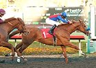 Blueskiesnrainbows won the 2013 Native Diver Handicap at Hollywood Park.