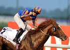 Daddy Long Legs and Colm O'Donoghue take the UAE Derby.