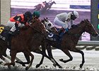 Paladin Bay outfights Splashy Gizmo and Lexie Lou to win the Ontario Lassie Stakes.
