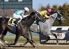 Marilyn's Guy wins 2012 Excelsior Stakes at Aqueduct.