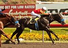 Really Mr Greely leads all the way to win the Hollywood Prevue Stakes.