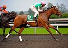 Emollient wins the Spinster Stakes.
<br><a target="blank" href="http://photos.bloodhorse.com/AtTheRaces-1/at-the-races-2013/27257665_QgCqdh#!i=2814715113&k=PQ6qHK9">Order This Photo</a>