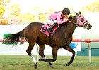 Comma to the Top streaks to victory in the Generous.<br><a target="blank" href="http://www.bloodhorse.com/horse-racing/photo-store?ref=http%3A%2F%2Fpictopia.com%2Fperl%2Fgal%3Fprovider_id%3D368%26ptp_photo_id%3D9301726%26ref%3Dstory">Order This Photo</a>