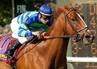 Smart Enough comes into the April 13 Shakeertown (gr. IIIT) at Keeneland from a five-month layoff. <br><a target="blank" href="http://www.bloodhorse.com/horse-racing/photo-store?ref=http%3A%2F%2Fpictopia.com%2Fperl%2Fgal%3Fprovider_id%3D368%26ptp_photo_id%3D2174864%26ref%3Dstory">Order This Photo</a>