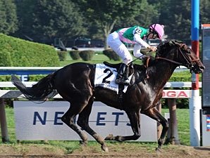 First Defence to Stand at Juddmonte First Defence to Stand at Juddmonte