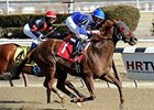 Strapping Groom<br><a target="blank" href="http://photos.bloodhorse.com/AtTheRaces-1/At-the-Races-2014/35724761_2vdnSX#!i=3100157591&k=nWpt7hP">Order This Photo</a>