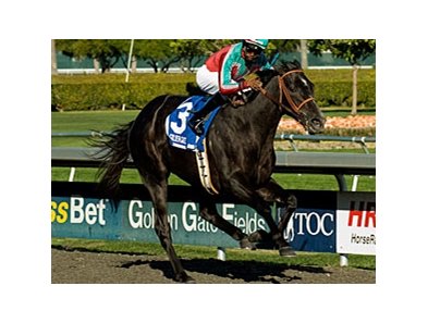 Lady of Fifty has won three of four starts, including the Corte Madera (shown).