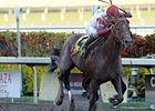 Pleasant Prince, making his first start since the Preakness Stakes, is the 6-5 morning line favorite for the Ohio Derby.