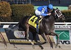It's Tricky takes the Top Flight at Aqueduct under Ramon Dominguez.<br><a target="blank" href="http://www.bloodhorse.com/horse-racing/photo-store?ref=http%3A%2F%2Fpictopia.com%2Fperl%2Fgal%3Fprovider_id%3D368%26ptp_photo_id%3D9822819%26ref%3Dstory">Order This Photo</a>