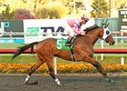 Broken Sword rolls to victory in the Bayakoa Handicap.