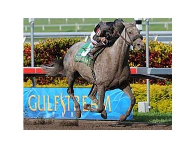 Spring Waltz heads a field of 12 in the Falls City Handicap Nov. 27 at Churchill Downs.