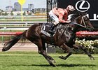 Black Caviar