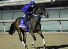 My Miss Aurelia<br><a target="blank" href="http://www.bloodhorse.com/horse-racing/photo-store?ref=http%3A%2F%2Fpictopia.com%2Fperl%2Fgal%3Fprovider_id%3D368%26ptp_photo_id%3D9726189%26ref%3Dstory">Order This Photo</a>
