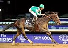 Royal Delta will compete in the Dubai World Cup.